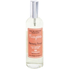 Niagara - Patchouly Vanillé